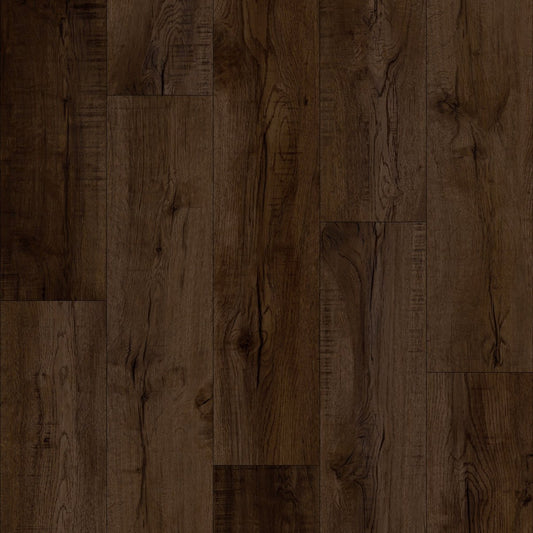 Algonquin Autumn - 8mm